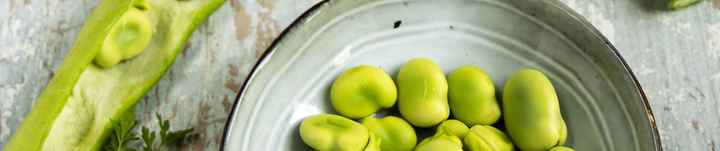 L-DOPA (lewodopa) – naturalny aminokwas z Mucuna pruriens. Co warto wiedzieć?