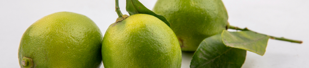 Bergamotka (Citrus bergamia) - naturalne wsparcie dla profilu lipidowego