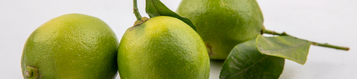 Bergamotka (Citrus bergamia) - naturalne wsparcie dla profilu lipidowego