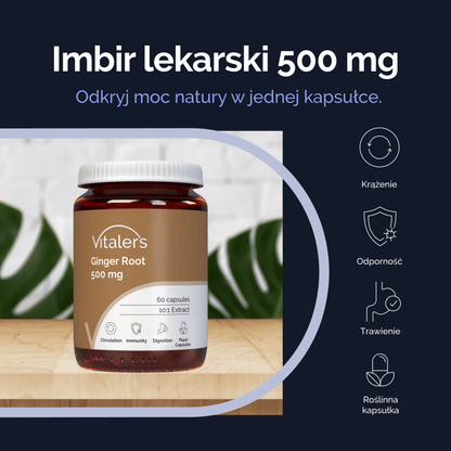 Vitaler's Ekstrakty Imbir lekarski 500 mg - 60 kapsułek